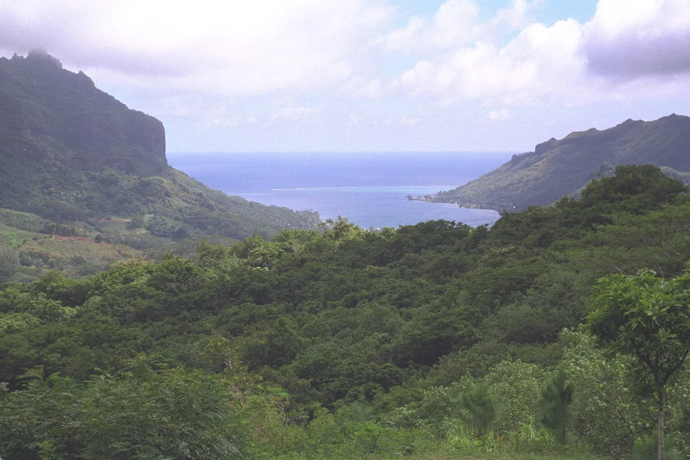 Cook Bay -Moorea - panoramio