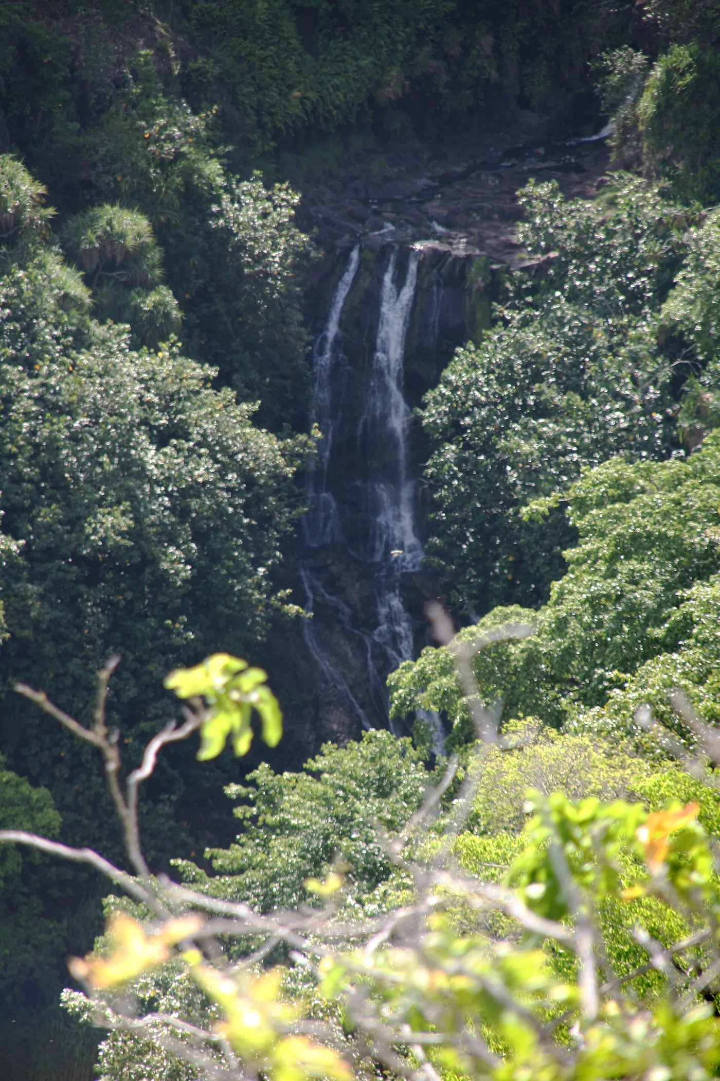 Nuku Hiva - Chute d'eau sur la rivière Hakapaa - 20061109