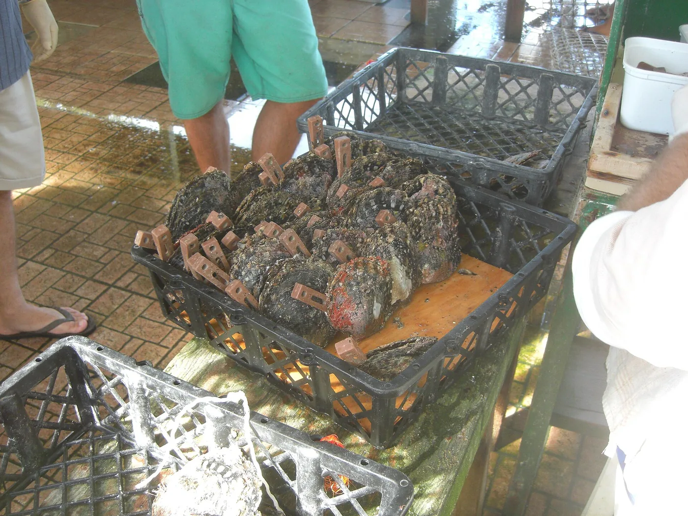 Pearl farming, Tahiti